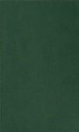 Cover: Comparative Constitutional Engineering - Palgrave Macmillan