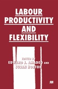 Cover: Labour Productivity and Flexibility - Palgrave Macmillan