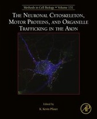 Abbildung von: The Neuronal Cytoskeleton, Motor Proteins, and Organelle Trafficking in the Axon - Academic Press
