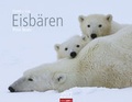 Cover: Eisb&auml;ren - Kalender 2017 - Weingarten