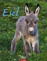 Abbildung von: Esel - Kalender 2017 - Weingarten