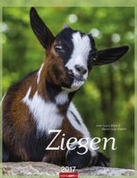 Abbildung von: Ziegen - Kalender 2017 - Weingarten