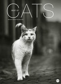 Cover: Cats Edition - Kalender 2017 - Heye