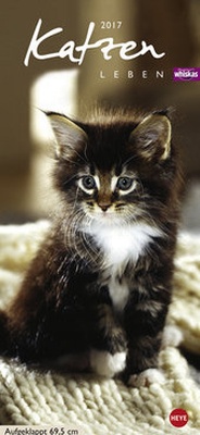 Bild vergrößern Bild: Whiskas Katzenleben - Kalender 2017 - Heye