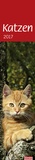 Bild: times&more Katzen long - Kalender 2017 - Heye