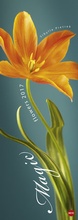 Cover: Magic Flowers Vertical - Kalender 2017 - Heye
