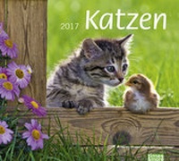 Bild vergrößern Bild: times&more Katzen Bildkalender - Kalender 2017 - Heye