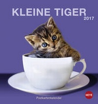 Bild vergrößern Bild: Katzen Postkartenkalender - Kalender 2017 - Heye