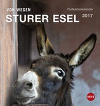 Abbildung von: Esel Postkartenkalender - Kalender 2017 - Heye