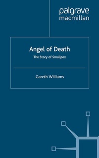 Enlarge image Cover: Angel of Death - Palgrave Macmillan