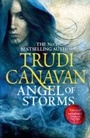 Cover: Angel of Storms - Orbit