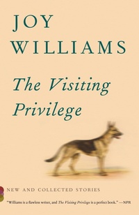Enlarge image Cover: The Visiting Privilege - Vintage Books