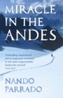 Cover: Miracle In The Andes - Orion