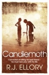 Enlarge image Cover: Candlemoth - Orion (an Imprint of The Orion Publishing Group Ltd )