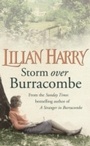 Cover: Storm Over Burracombe - Orion (an Imprint of The Orion Publishing Group Ltd )