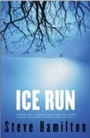 Cover: Ice Run - Orion