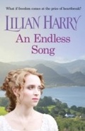 Cover: An Endless Song - Orion (an Imprint of The Orion Publishing Group Ltd )