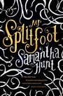 Cover: Mr Splitfoot - Corsair