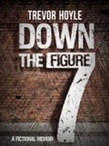 Cover: Down the Figure 7 - ARCADIA
