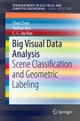 Cover: Big Visual Data Analysis - Springer
