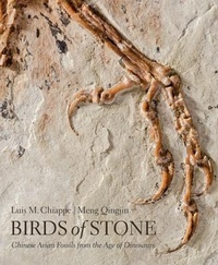 Abbildung von: Birds of Stone - Johns Hopkins University Press
