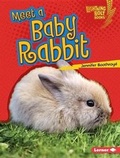 Cover: Meet a Baby Rabbit - Lerner Publications Co ,U.S.