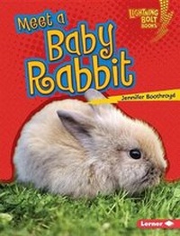 Enlarge image Cover: Meet a Baby Rabbit - Lerner Publications Co ,U.S.