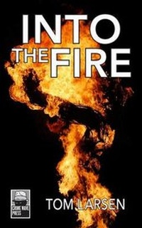 Enlarge image Cover: Into The Fire - Visionary World Ltd