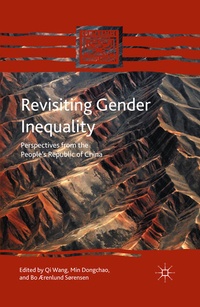 Enlarge image Cover: Revisiting Gender Inequality - Palgrave MacMillan