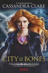 Enlarge image Cover: The Mortal Instruments 1: City of Bones - Walker Books Ltd