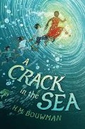 Cover: A Crack in the Sea - Putnam Adult