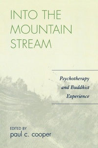 Enlarge image Cover: Into the Mountain Stream - Jason Aronson Publishers