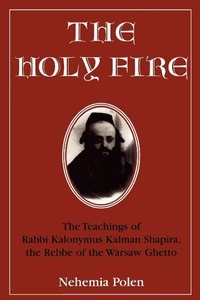 Enlarge image Cover: The Holy Fire - Jason Aronson Publishers