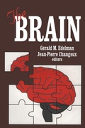 Cover: The Brain - Transaction Publishers