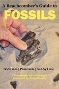 Cover: A Beachcomber's Guide to Fossils - Pineapple Press Inc.,U.S.