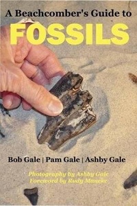 Enlarge image Cover: A Beachcomber's Guide to Fossils - Pineapple Press Inc.,U.S.