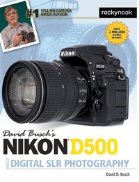 Abbildung von: David Busch's Nikon D500 Guide to Digital SLR Photography - Rocky Nook