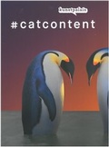 Cover: #catcontent - Stadt Erlangen Kunstpalais