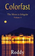 Cover: Colorfast The Meter is Irregular, Volume 4 - 1st World Publishing