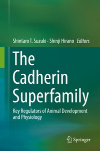 Abbildung von: The Cadherin Superfamily - Springer