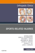 Cover: Sports-Related Injuries, An Issue of Orthopedic Clinics - Elsevier