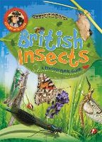Enlarge image Cover: Nature Detective: British Insects - Wayland