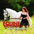 Cover: Equine Photography - Onion Custard Publishing Ltd