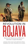 Cover: Revolution in Rojava - Pluto Press