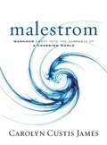 Cover: Malestrom - Zondervan