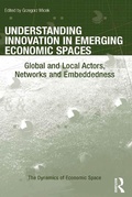 Cover: Understanding Innovation in Emerging Economic Spaces - Routledge