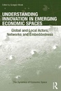 Cover: Understanding Innovation in Emerging Economic Spaces - Routledge