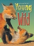 Cover: Young and Wild - Shortland Publications
