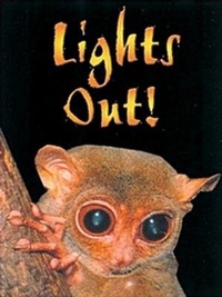 Enlarge image Cover: Lights Out! - Shortland Publications