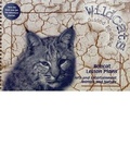 Cover: Bobcats Combined Lesson Plans / Adventure Journals for New Bobcats Add-On Pack - Shortland Publications